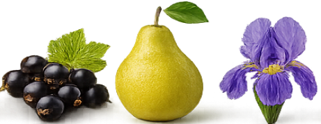 Artinz Sanam: Black Currant · Pear · Iris